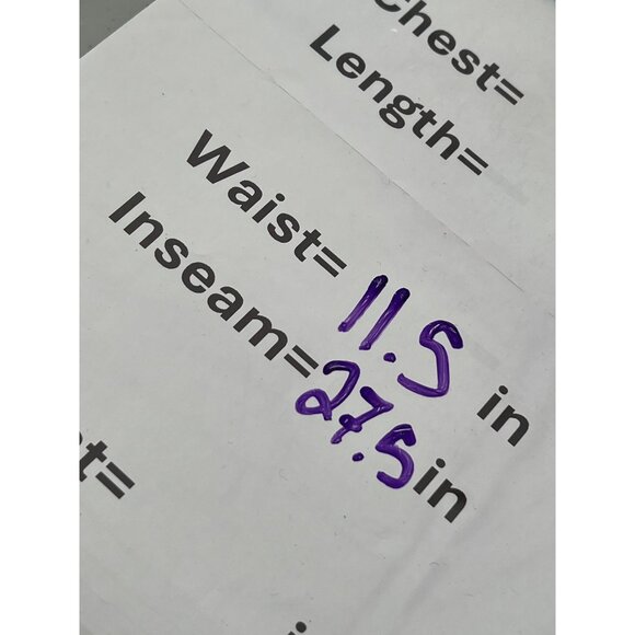 Driftwood Davey Embroidered Velvet Jogger Pants Womens M Green Polyester Blend - Picture 5 of 9